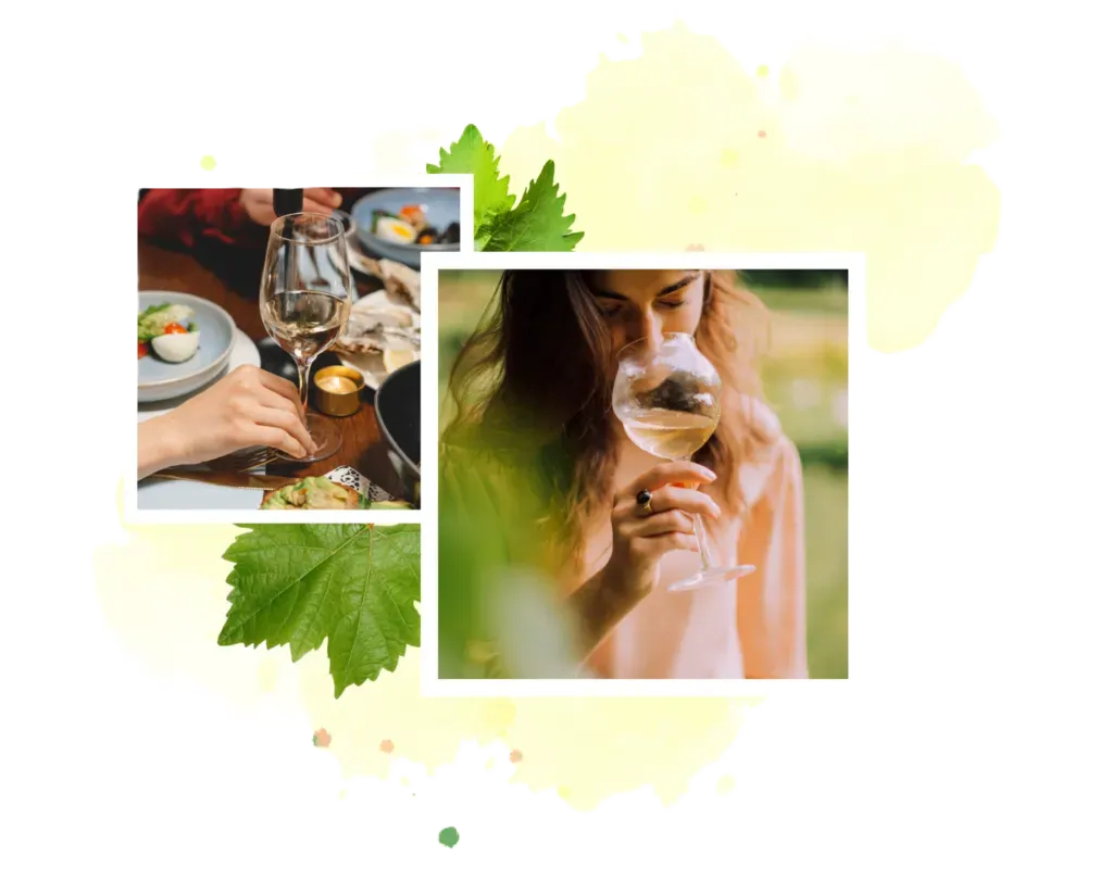 Wine tasting collage